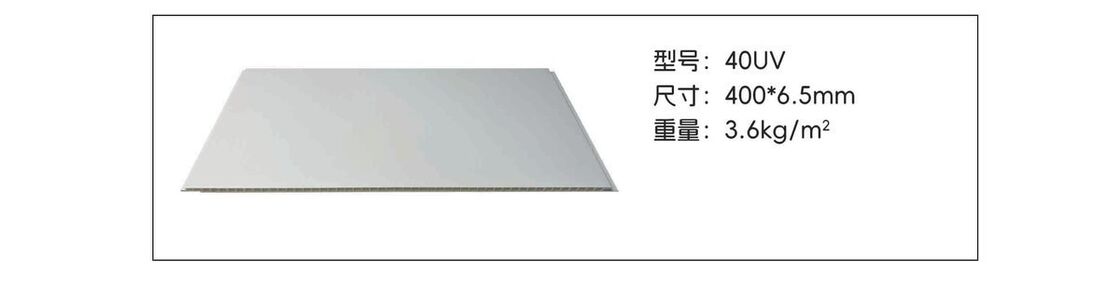5.8mm- 9mm PVC Interior Wall Panels 400mm PVC Decorative Wall Panels